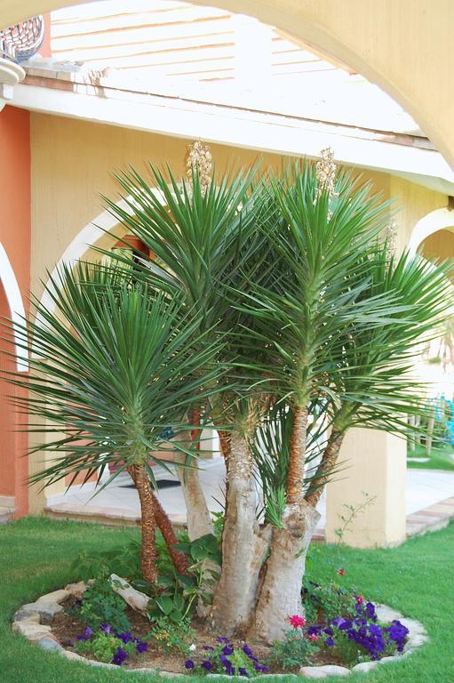 I Lentischi Aparthotel Villasimius Exteriör bild